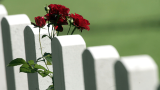 American Life Expectancy Continues to Drop, with Suicides and Drug Overdoses on the Rise<em></em>
